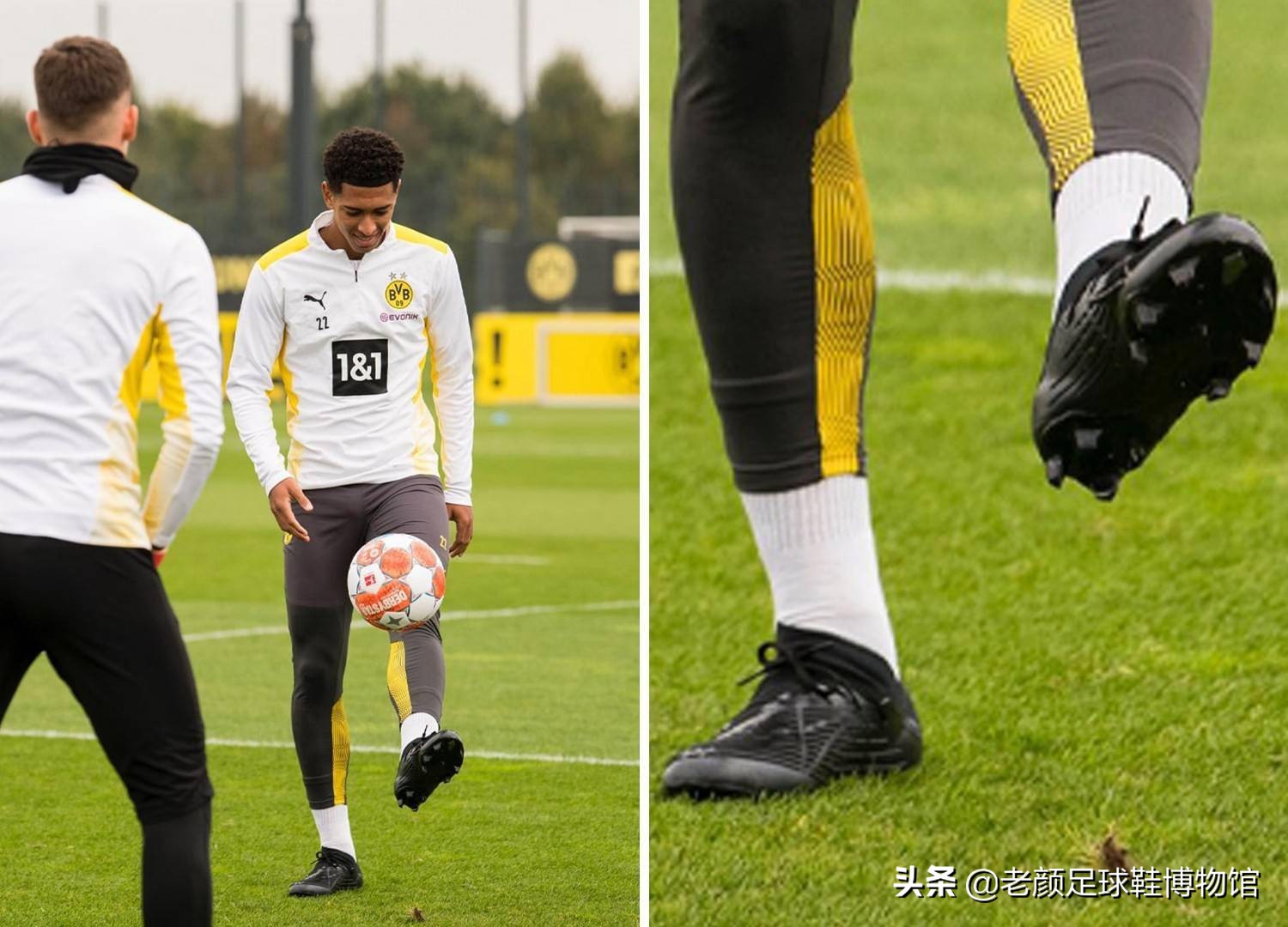 在体育迷的 在体育迷的